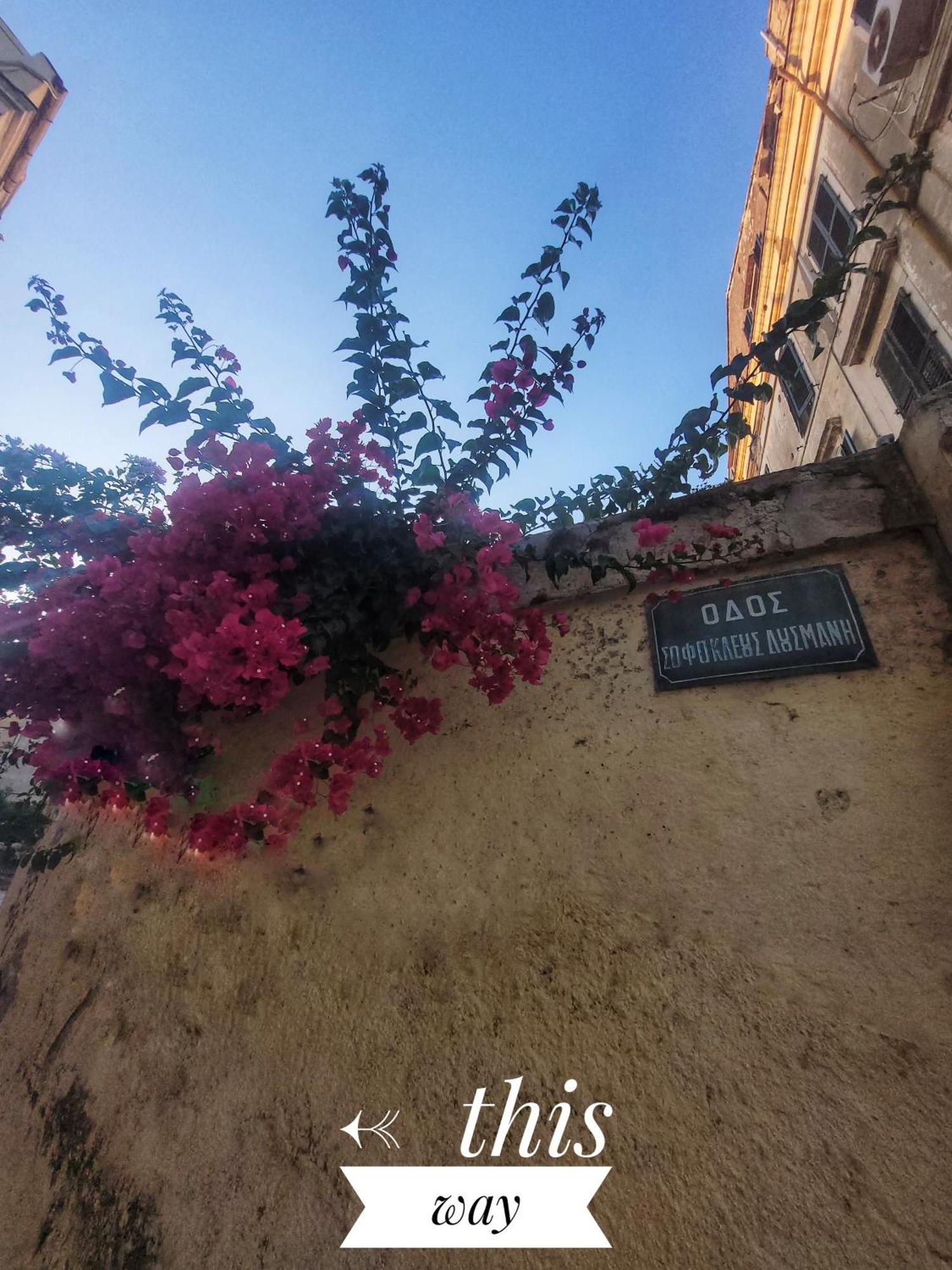 Nenas Volto Apartment Corfu  Zewnętrze zdjęcie